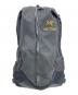 ARC'TERYX（アークテリクス）の古着「Arro 22 Backpack」｜ブラック