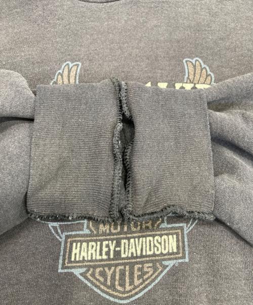 HARLEY-DAVIDSON（ハーレーダビッドソン）HARLEY-DAVIDSON (ハーレーダビッドソン) パーカー ブラック サイズ:Lの古着・服飾アイテム