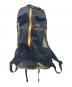 ARC'TERYX (アークテリクス) BEAMS (ビームス) デイパック ブラック×グリーン：15000円