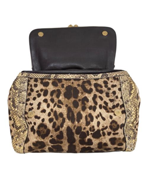 DOLCE & GABBANA（ドルチェ＆ガッバーナ）DOLCE & GABBANA (ドルチェ＆ガッバーナ) レオパードパイソン柄ハンドバッグ ベージュ サイズ:-の古着・服飾アイテム