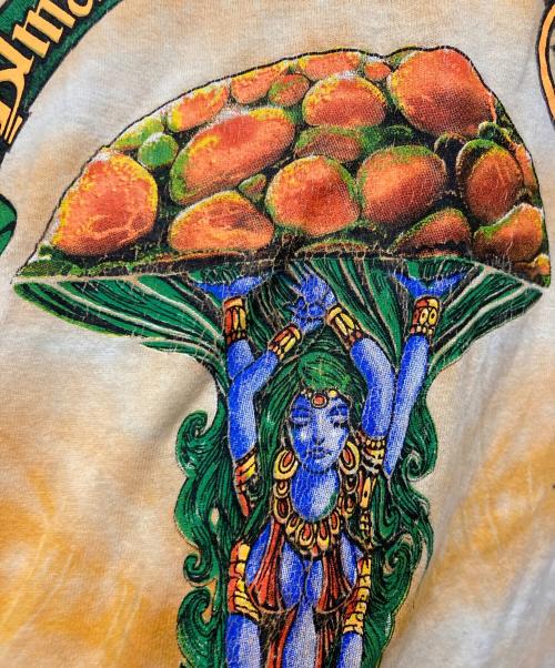 ALLMAN BROTHERS BAND（フルーツオブザルーム）ALLMAN BROTHERS BAND (フルーツオブザルーム) 90'S タイダイバンドTシャツ オレンジ サイズ:Ⅼの古着・服飾アイテム