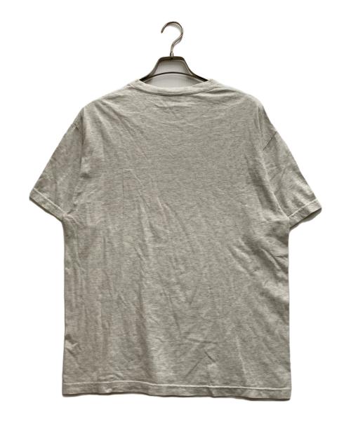 Creek Angler's Device（クリークアングラーズデヴァイス）Creek Angler's Device (クリークアングラーズデヴァイス) Blue Creek Lake Tee グレー サイズ:Ⅼの古着・服飾アイテム