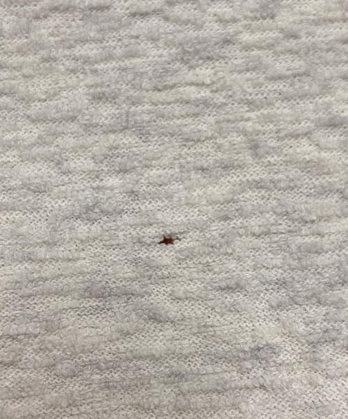 ISAMU KATAYAMA BACKLASH（イサムカタヤマ・バックラッシュ）ISAMU KATAYAMA BACKLASH (イサムカタヤマ・バックラッシュ) Random Pile Fabric Cut & Swen ホワイト サイズ:Lの古着・服飾アイテム