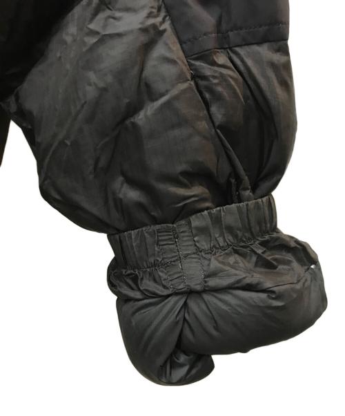 THE NORTH FACE（ザ ノース フェイス）THE NORTH FACE (ザ ノース フェイス) WS Nuptse Hoodie ブラック サイズ:Lの古着・服飾アイテム