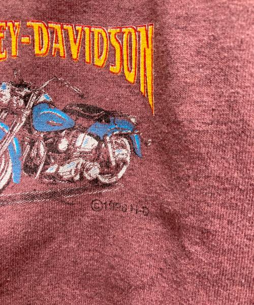 HARLEY-DAVIDSON（ハーレーダビッドソン）HARLEY-DAVIDSON (ハーレーダビッドソン) 90`SハイネックプリントL/S TEE ブラウン サイズ:Ⅼの古着・服飾アイテム
