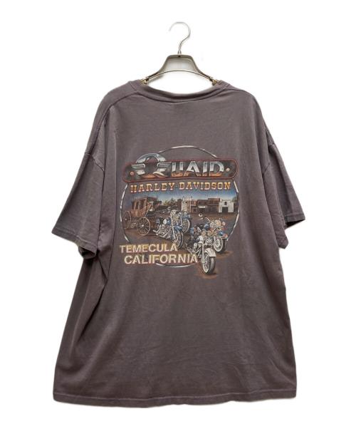 HARLEY-DAVIDSON（ハーレーダビッドソン）HARLEY-DAVIDSON (ハーレーダビッドソン) 00`sトライバルロゴTEE ネイビー サイズ:-の古着・服飾アイテム