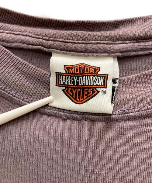 HARLEY-DAVIDSON（ハーレーダビッドソン）HARLEY-DAVIDSON (ハーレーダビッドソン) 00`sトライバルロゴTEE ネイビー サイズ:-の古着・服飾アイテム