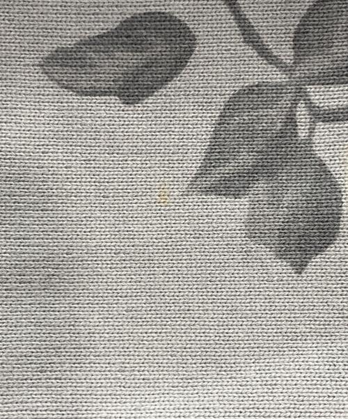 JORDAN（ジョーダン）JORDAN (ジョーダン) A Manniere ローズプリントフーディ グレー サイズ:Sの古着・服飾アイテム