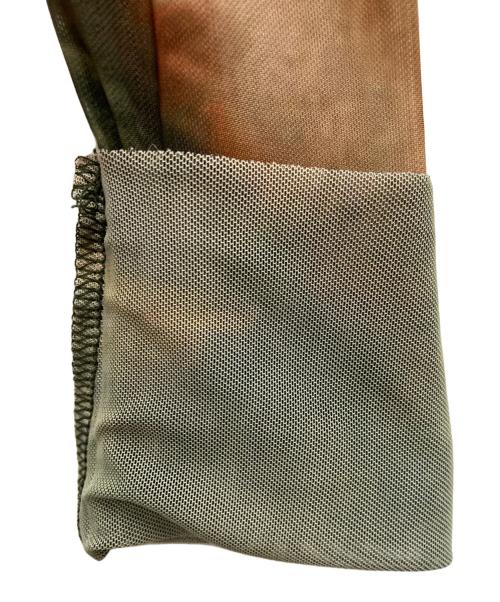 ZARA（ザラ）ZARA (ザラ) Peter Paul Rubens チュールワンピース グリーン サイズ:Sの古着・服飾アイテム