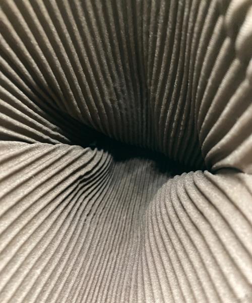 HOMME PLISSE ISSEY MIYAKE（オム プリッセ イッセイ ミヤケ）HOMME PLISSE ISSEY MIYAKE (オム プリッセ イッセイ ミヤケ) プリーツナップザック ブラウンの古着・服飾アイテム