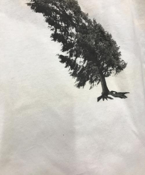 KAPITAL（キャピタル）KAPITAL (キャピタル) 木プリントTシャツ ホワイト サイズ:XLの古着・服飾アイテム