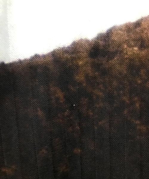 SUPREME（シュプリーム）SUPREME (シュプリーム) Damien Hirst Soccer Jersey ブルー サイズ:Lの古着・服飾アイテム