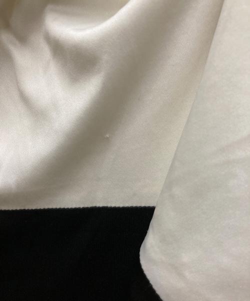 TADASHI SHOJI（タダシ ショージ）TADASHI SHOJI (タダシ ショージ) スパンコールN/Sレースワンピース ホワイトの古着・服飾アイテム