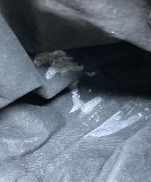 Chloe（クロエ）Chloe (クロエ) ハンドバッグ パディントン ブラウンの古着・服飾アイテム