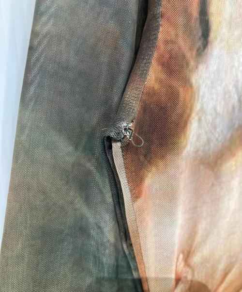 ZARA（ザラ）ZARA (ザラ) PAUL RUBENS パワーネットワンピース グリーン サイズ:Mの古着・服飾アイテム