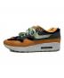 NIKE (ナイキ) Air Max 1 Duck Pack
