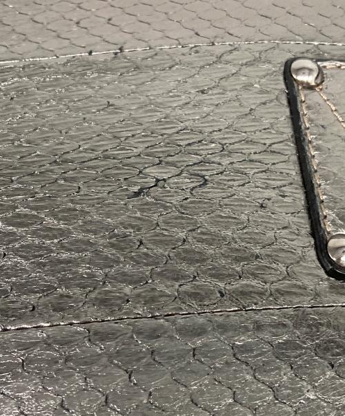 JIMMY CHOO（ジミーチュウ）JIMMY CHOO (ジミーチュウ) 2WAYショルダーバッグ シルバーの古着・服飾アイテム