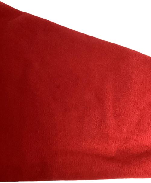 Champion（チャンピオン）Champion (チャンピオン) 80'S リバースウィーブパーカー レッド サイズ:Mの古着・服飾アイテム