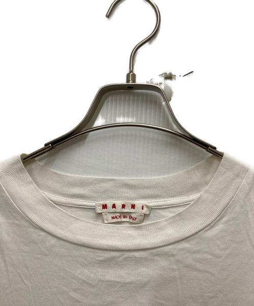 MARNI（マルニ）MARNI (マルニ) DAISY LOGO PRINT T-SHIRT ホワイト サイズ:40の古着・服飾アイテム