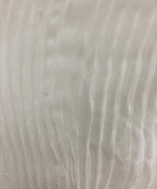 ISSEY MIYAKE（イッセイミヤケ）ISSEY MIYAKE (イッセイミヤケ) プリーツカットソー ホワイト サイズ:Mの古着・服飾アイテム