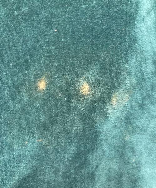 Needles（ニードルズ）Needles (ニードルズ) ベロアＴシャツ グリーン サイズ:Lの古着・服飾アイテム