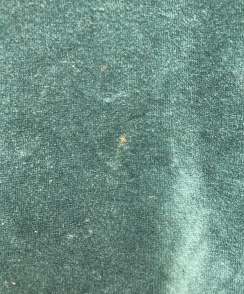Needles（ニードルズ）Needles (ニードルズ) ベロアＴシャツ グリーン サイズ:Lの古着・服飾アイテム