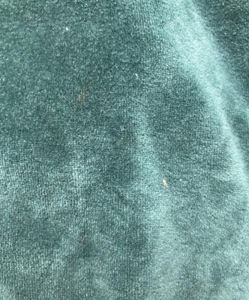 Needles（ニードルズ）Needles (ニードルズ) ベロアＴシャツ グリーン サイズ:Lの古着・服飾アイテム