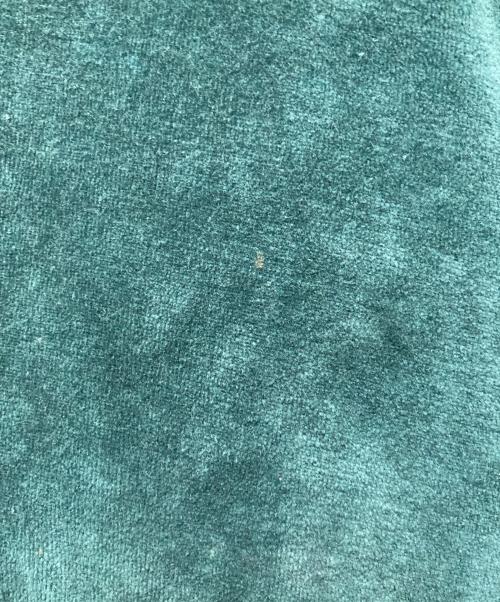 Needles（ニードルズ）Needles (ニードルズ) ベロアＴシャツ グリーン サイズ:Lの古着・服飾アイテム