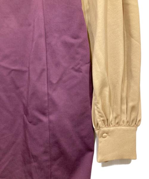 Ezick（エジック）Ezick (エジック) レーストップドレス ベージュ×ボルドー サイズ:Fの古着・服飾アイテム