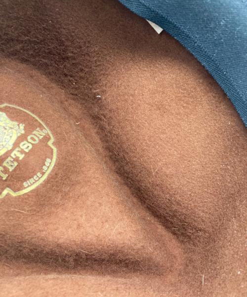 STETSON（ステットソン）STETSON (ステットソン) whippet ハット ブラウン サイズ:58 7 1/4の古着・服飾アイテム