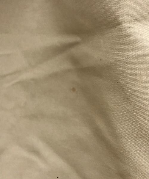 FOX FIRE（フォックスファイヤー）FOX FIRE (フォックスファイヤー) ミズリープ ジャケット ベージュ サイズ:Mの古着・服飾アイテム