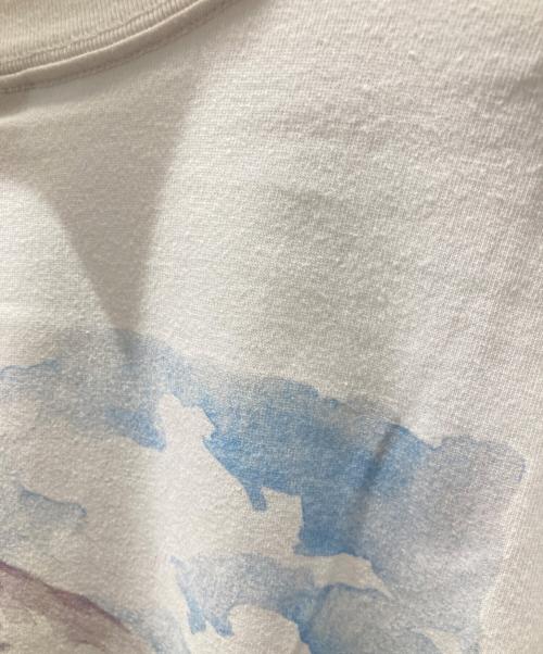 ACG（エーシージー）ACG (エーシージー) プリントカットソー ホワイト サイズ:Lの古着・服飾アイテム