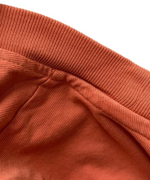 stussy（ステューシー）stussy (ステューシー) Lazy Tee オレンジ サイズ:Mの古着・服飾アイテム