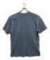 stussy (ステューシー) 00'S プリントTシャツ スカイブルー サイズ:M：6000円