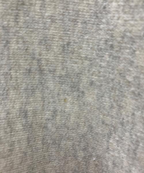 Champion（チャンピオン）Champion (チャンピオン) 復刻後付けパーカー グレー サイズ:Lの古着・服飾アイテム