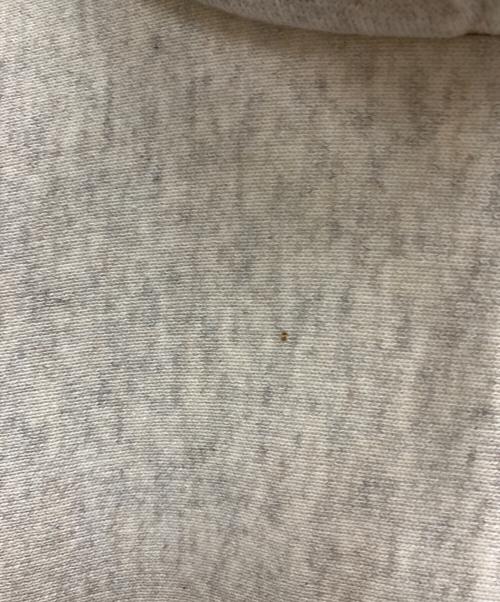 Champion（チャンピオン）Champion (チャンピオン) 復刻後付けパーカー グレー サイズ:Lの古着・服飾アイテム