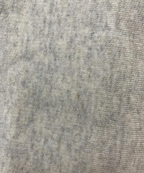 Champion（チャンピオン）Champion (チャンピオン) 復刻後付けパーカー グレー サイズ:Lの古着・服飾アイテム