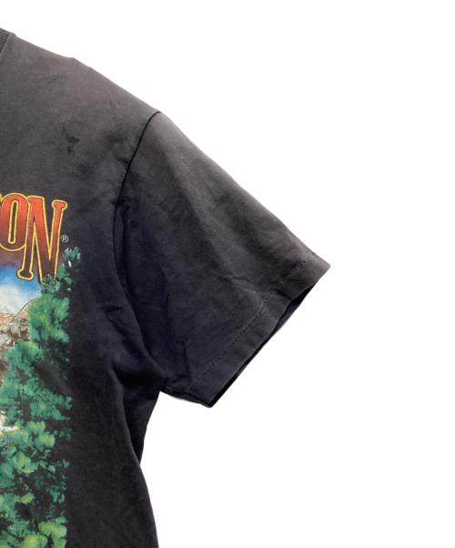 HARLEY-DAVIDSON（ハーレーダビッドソン）HARLEY-DAVIDSON (ハーレーダビッドソン) 90s ラシュモア山の彫像プリントTシャツ グレー サイズ:Mの古着・服飾アイテム