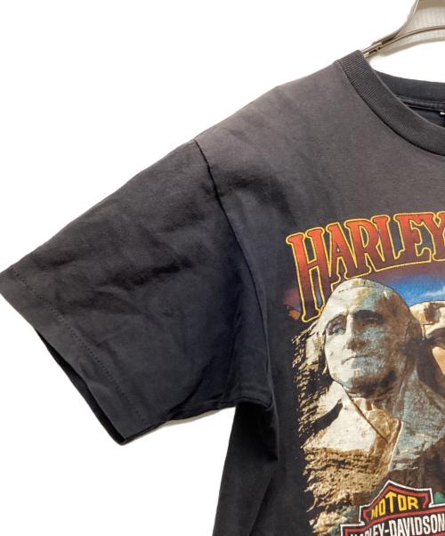 HARLEY-DAVIDSON（ハーレーダビッドソン）HARLEY-DAVIDSON (ハーレーダビッドソン) 90s ラシュモア山の彫像プリントTシャツ グレー サイズ:Mの古着・服飾アイテム