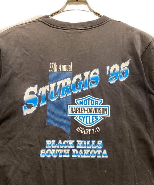 HARLEY-DAVIDSON（ハーレーダビッドソン）HARLEY-DAVIDSON (ハーレーダビッドソン) 90s ラシュモア山の彫像プリントTシャツ グレー サイズ:Mの古着・服飾アイテム
