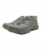 SALOMONサロモン）の古着「XT-6」｜グレー