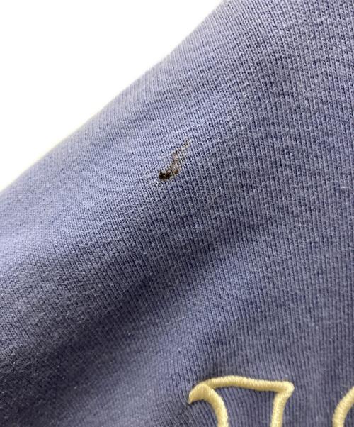 SUPREME（シュプリーム）Supreme (シュプリーム) Cactus Plant Flea Market (カクタスプラントフリーマーケット) IS LOVE STRONGER THAN FEAR HOODIE ブルー サイズ:Lの古着・服飾アイテム