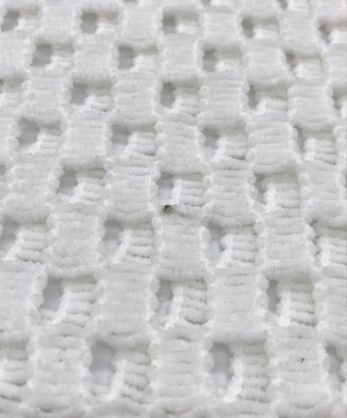 FUMIE=TANAKA（フミエタナカ）FUMIE=TANAKA (フミエタナカ) mall mesh P/O　 F22S-27　モールメッシュプルオーバー ホワイト サイズ:1の古着・服飾アイテム