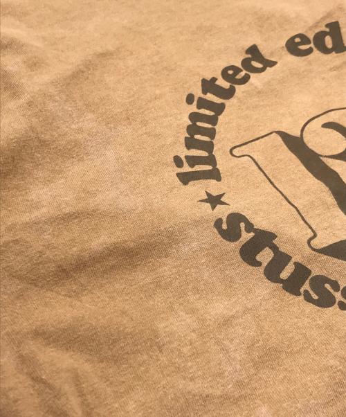 stussy（ステューシー）stussy (ステューシー) Tシャツ　OLDstussy ブラウン サイズ:Mの古着・服飾アイテム