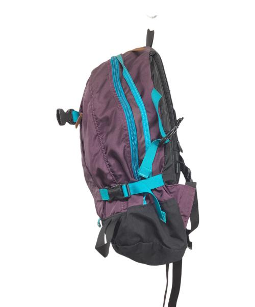 GREGORY（グレゴリー）GREGORY (グレゴリー) バックパック　オールデイ パープルの古着・服飾アイテム