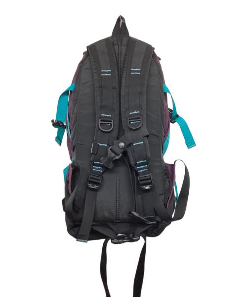 GREGORY（グレゴリー）GREGORY (グレゴリー) バックパック　オールデイ パープルの古着・服飾アイテム