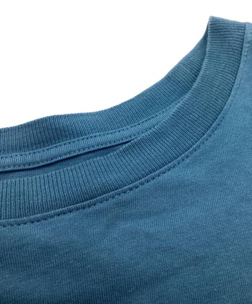 THE NORTH FACE（ザ ノース フェイス）THE NORTH FACE (ザ ノース フェイス) KAWS (カウズ) L/S Tee / ロングスリーブTシャツ / 22SS ブルー サイズ:XLの古着・服飾アイテム