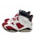 NIKE (ナイキ) Air Jordan 6 