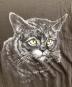 中古・古着 beautiful people (ビューティフルピープル) sheer jersey huge cat print T-shirt / 1415310420 グレー サイズ:190：7000円