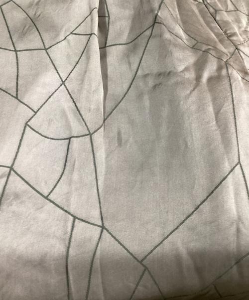 ETHOSENS（エトセンス）ETHOSENS (エトセンス) CRAZING PANTS パープル サイズ:3の古着・服飾アイテム